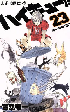 コミック全巻セット・まとめ買い】ハイキュー!!(全45巻)セット