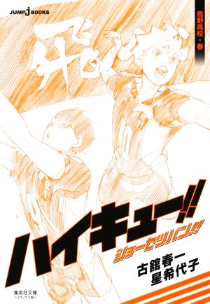 書籍全巻セット・まとめ買い】ハイキュー!!ショーセツバン!!(文庫版