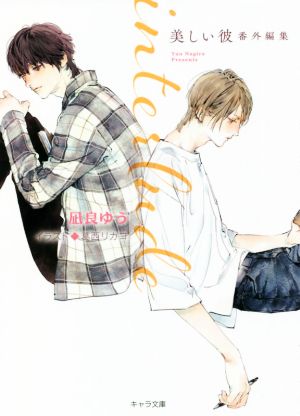 書籍全巻セット・まとめ買い】美しい彼シリーズ(文庫版)セット