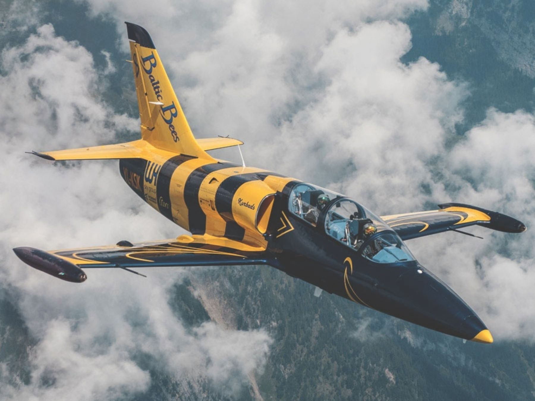 シオンからアルプスでのL-39アルバトロスジェットフライト