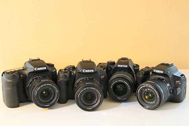 プロ厳選・初心者におすすめのデジタル一眼レフカメラを実写で比較
