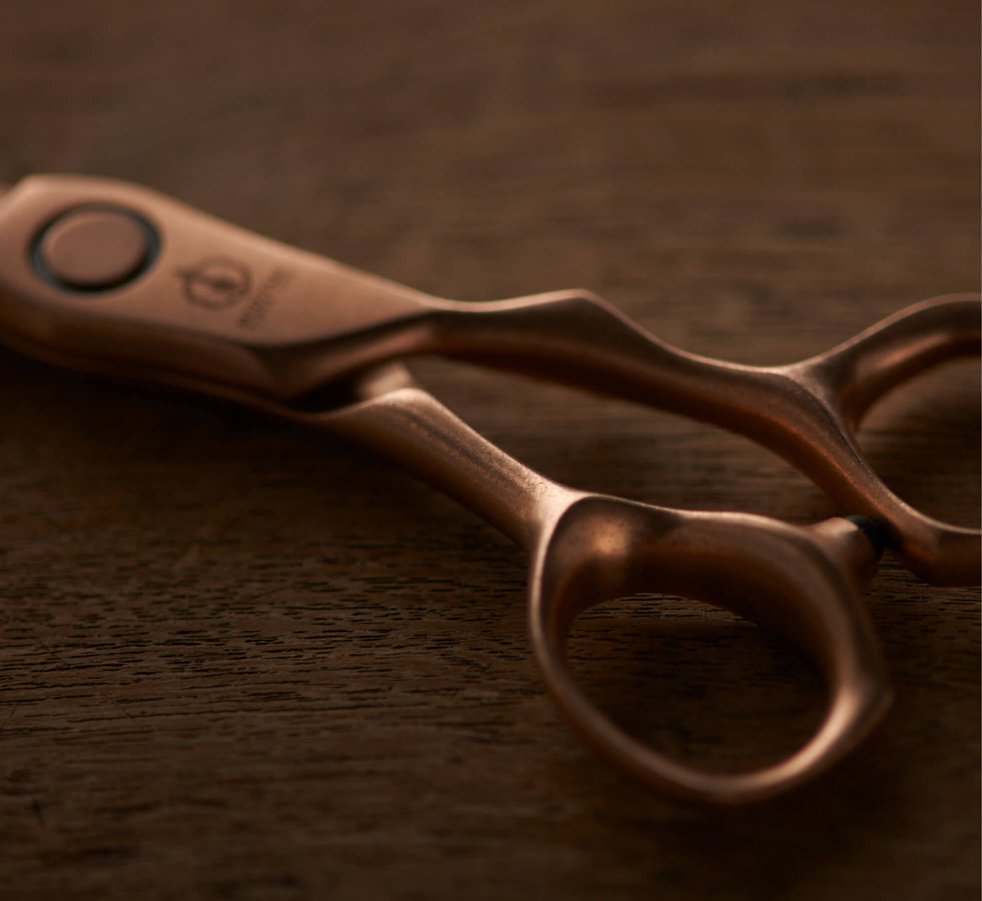 特集 新製品 2025 | ミズタニシザーズ