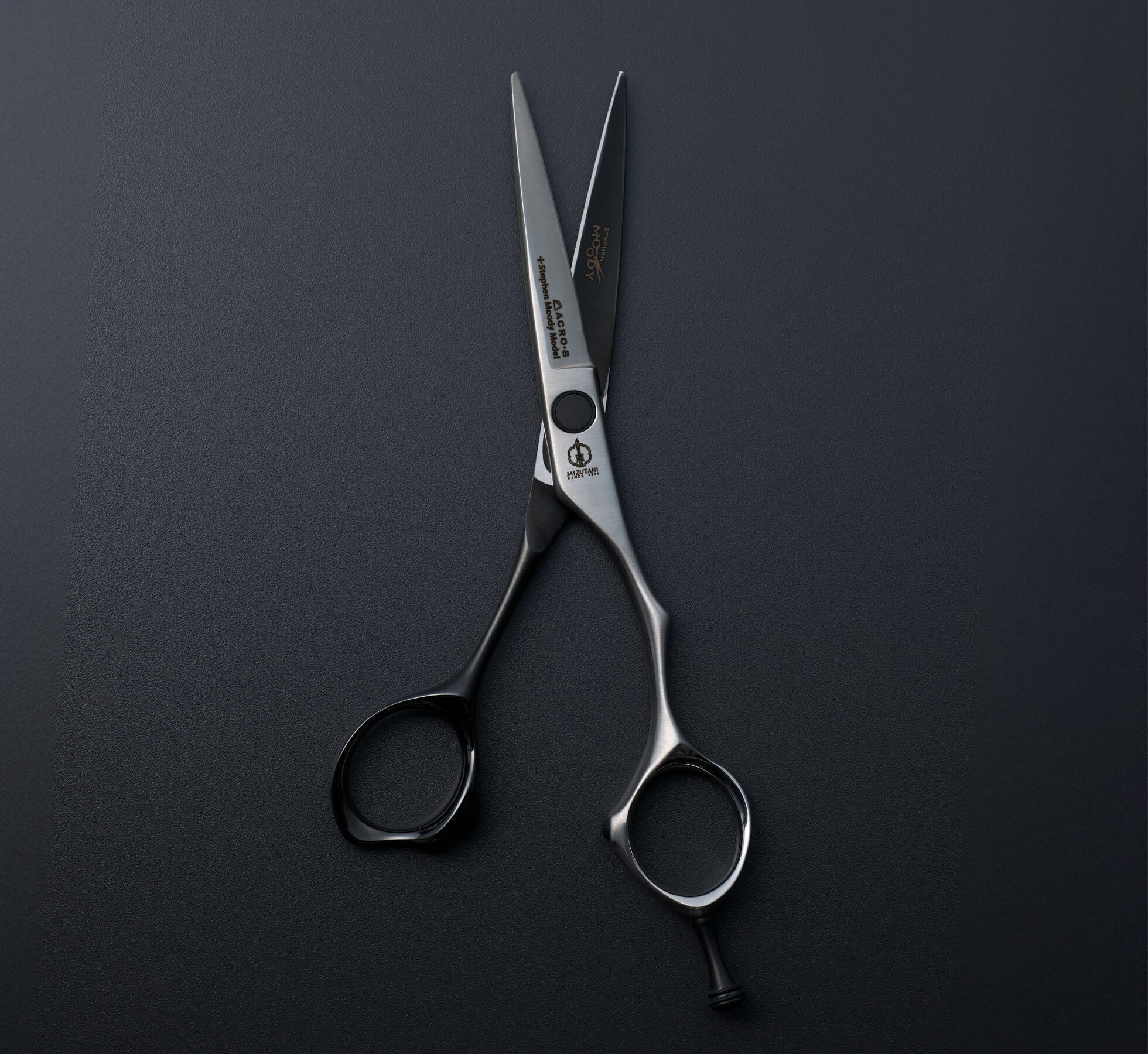 特集 新製品 2025 | ミズタニシザーズ