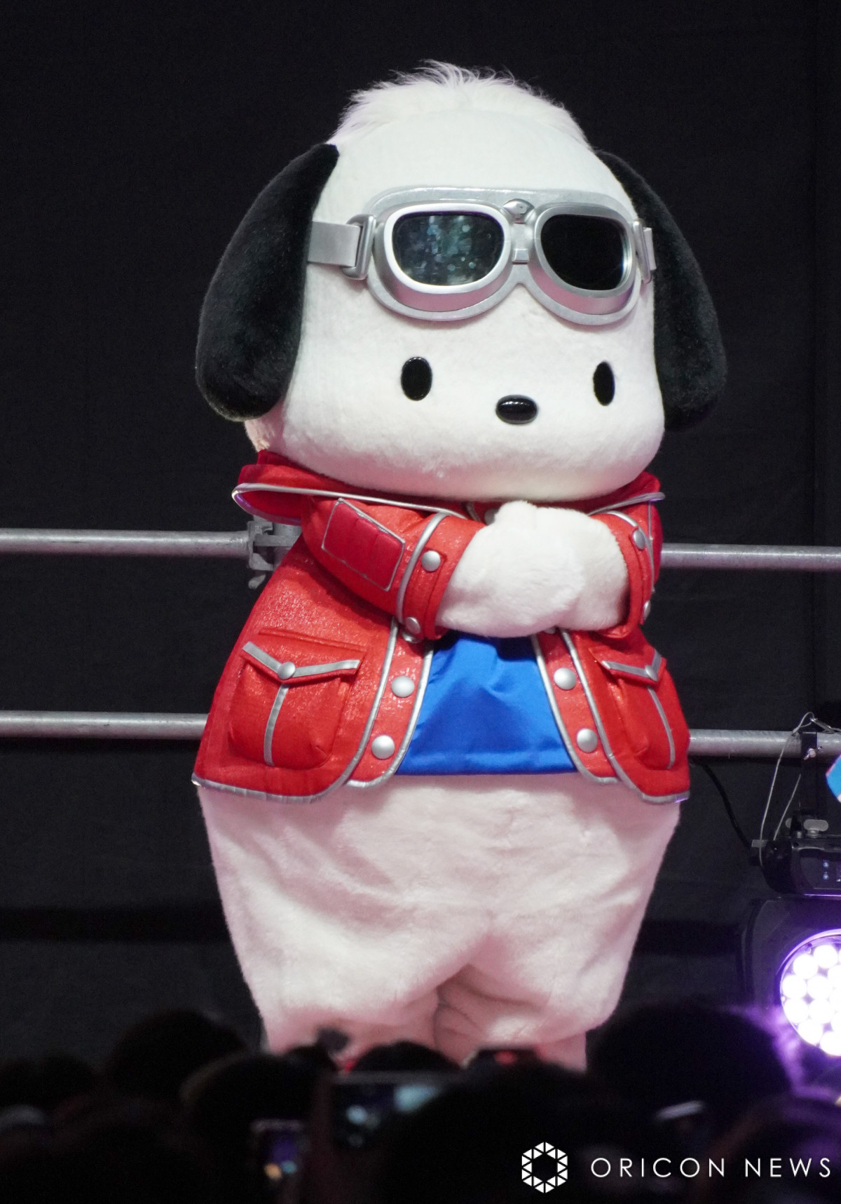 ポチャッコ、「サンリオキャラクター大賞」28年ぶりTOP2入りに歓喜