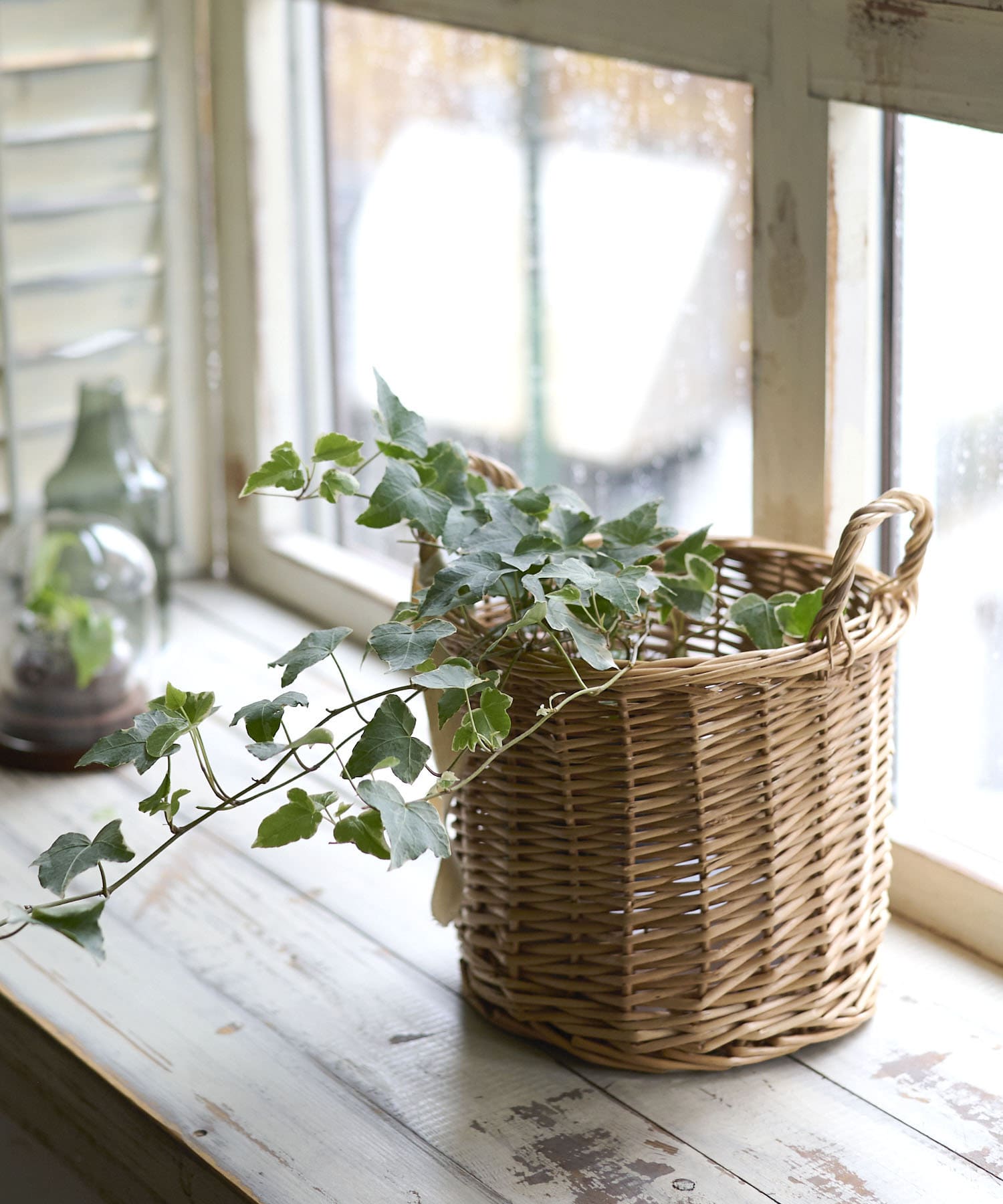 柳ポットカバー5号 | salut!(サリュ)ライフスタイル | PAL CLOSET(パル