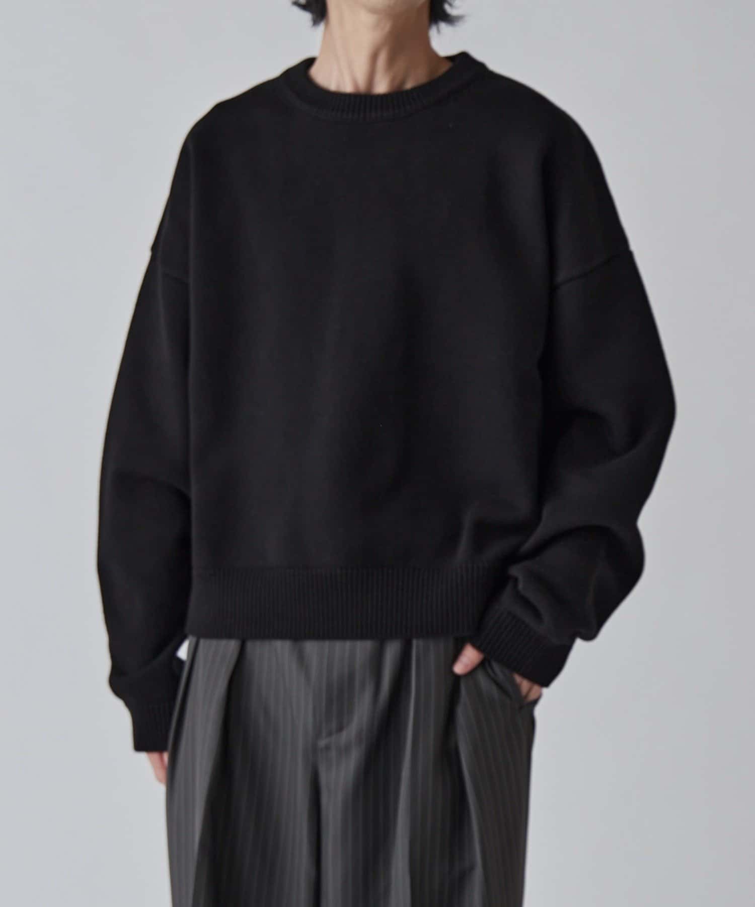 クロップドクルーネックニット | Lui's(ルイス)メンズ | PAL CLOSET