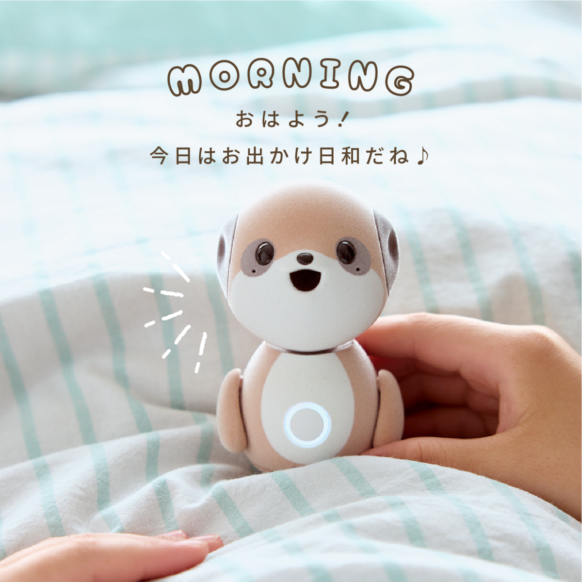 シャープ公式通販】 ポケとも本体 + ココロプラン for ポケとも + 卓上