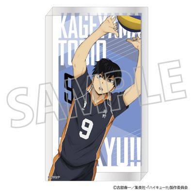 シャープ公式通販】 ハイキュー!! ノーブルアート／影山飛雄|UL