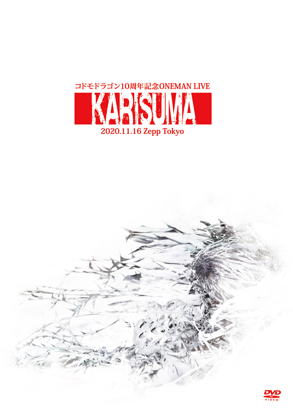 DISCOGRAPHY｜コドモドラゴン Official web site