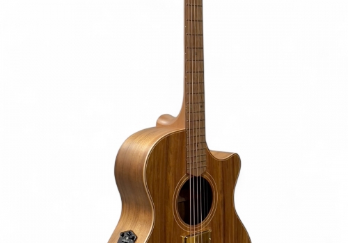 CCAN2EC-BLBL-AE - Cole Clark Guitars | Cole Clark Guitars