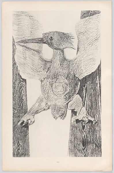Designed by Max Ernst - Histoire Naturelle - The Metropolitan