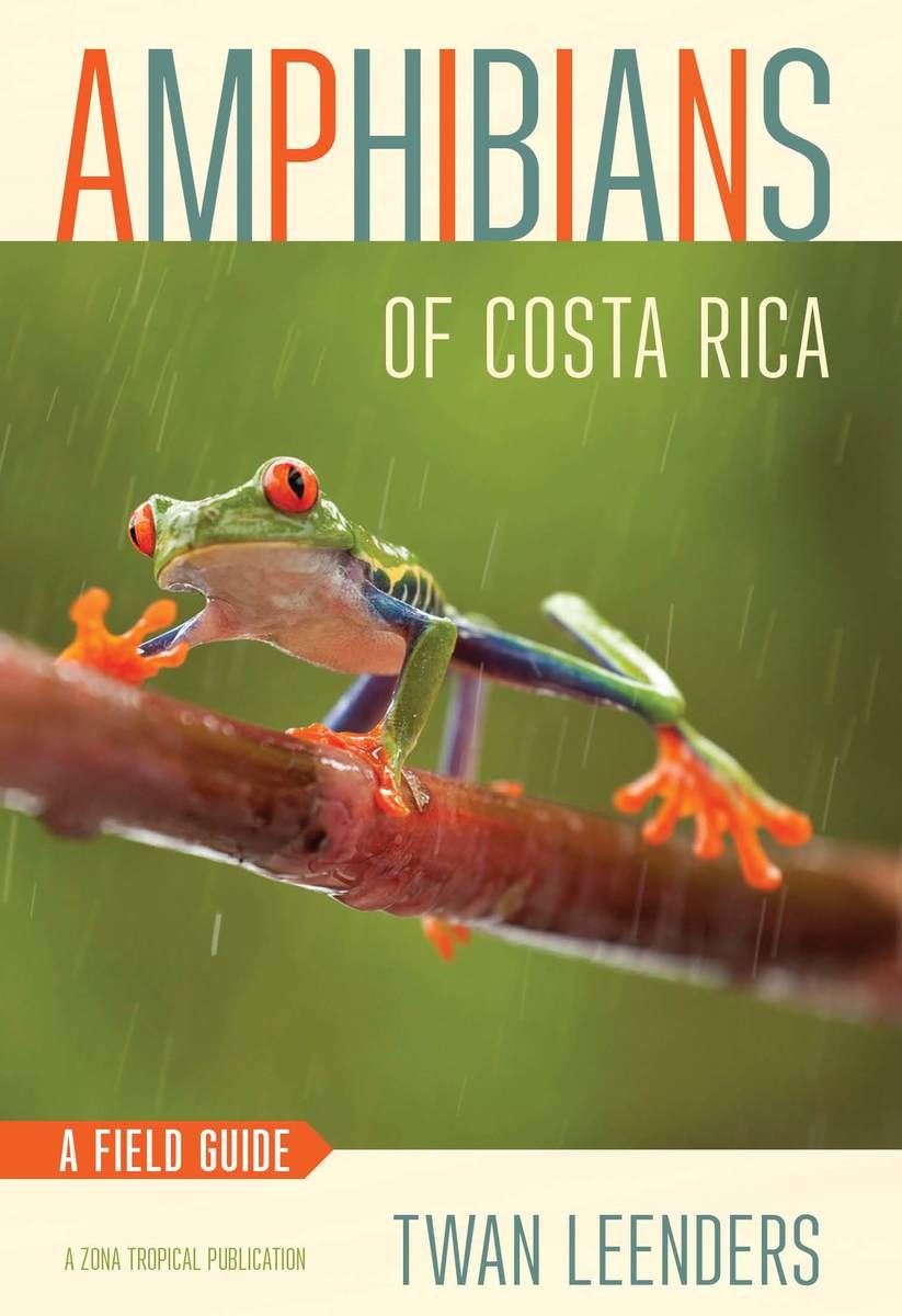 Amphibians of Costa Rica by Twan Leenders | Paperback | Cornell