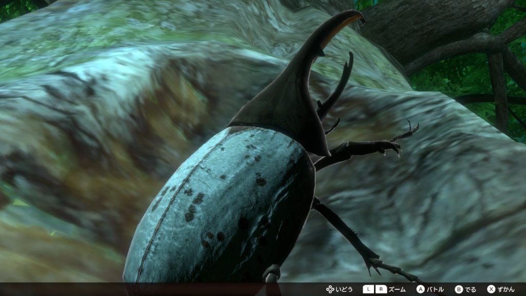 カブトクワガタ日記】第189回 ヘルクレスオオカブトの