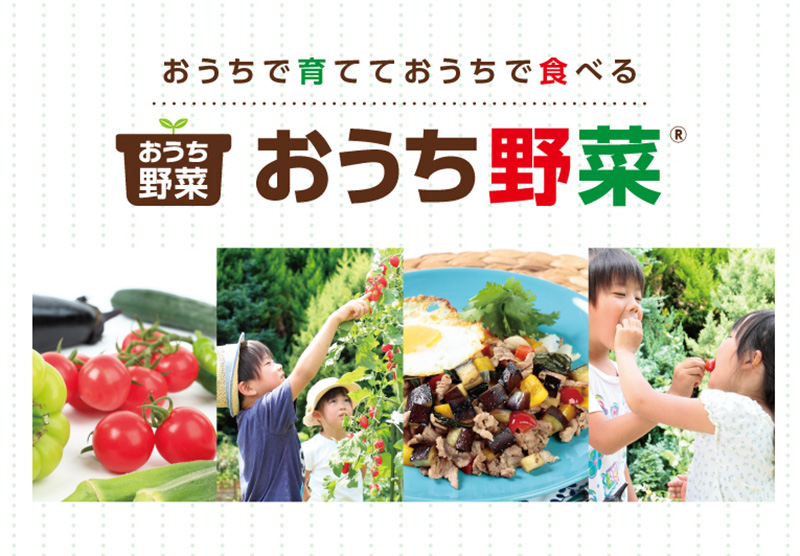 家庭菜園向け野菜苗シリーズ「おうち野菜」をリニューアル | ニュース