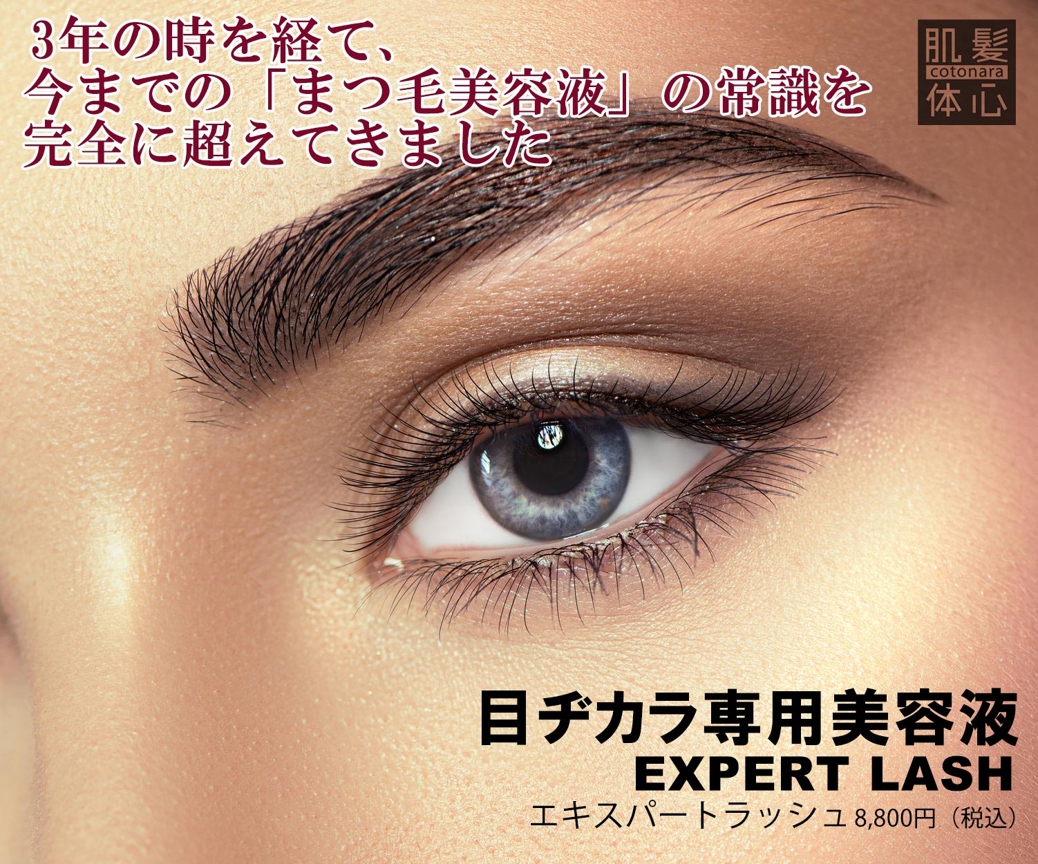 リアボーテ正規販売店】エキスパートラッシュ ご購入方法と使い方｜東京