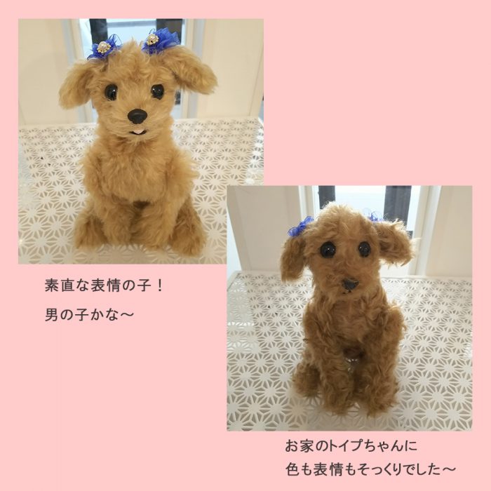 リアルぬいぐるみ（トイプードル）手作り教室の様子です - 【公式