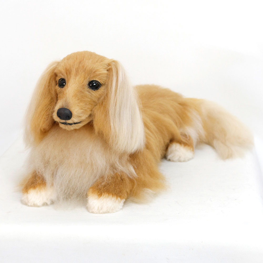 231026 茶太ちゃん ミニチュアダックスフンド - 【公式】ぬいぐるみの