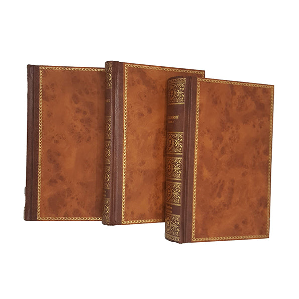 Charles Dickens Collected Works - Chapman and Hall (15 Books