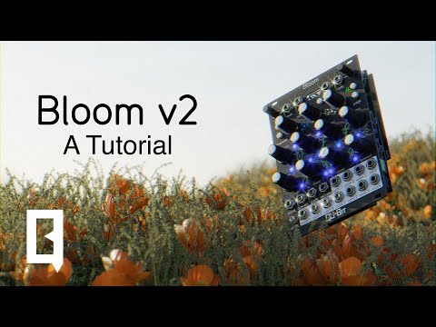 Qu-bit Electronix Bloom v2— Clockface Modular