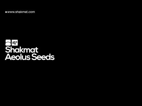 Shakmat Modular Aeolus Seeds— Clockface Modular