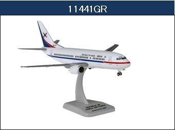 11441GR Hogan Korean Air Force (ROKAF) / 韓国政府専用機 B737-300 1