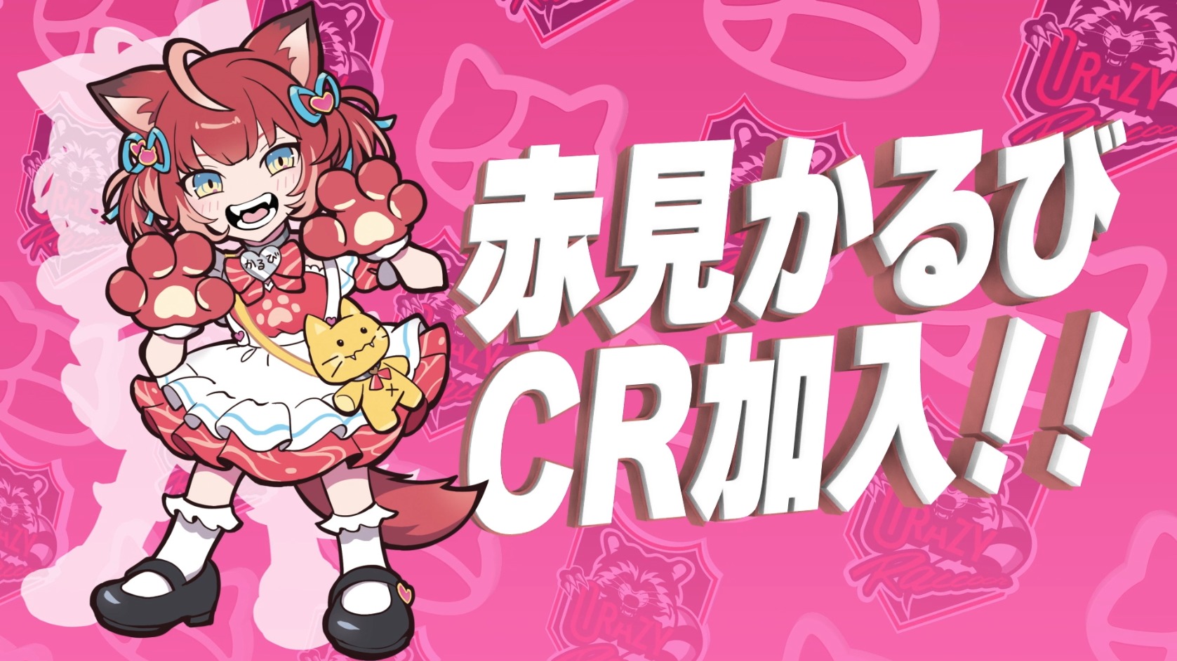 赤見かるび加入のお知らせ - Crazy Raccoon