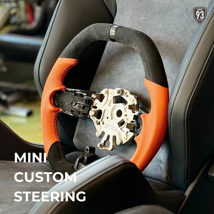 MiniCustomSteering3a.jpg
