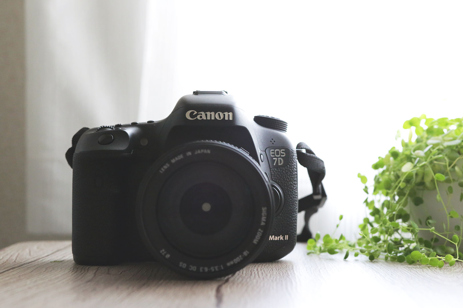 おしゃれな写真が撮れるレンズ】SIGMA18-200mmズームレンズはアートな