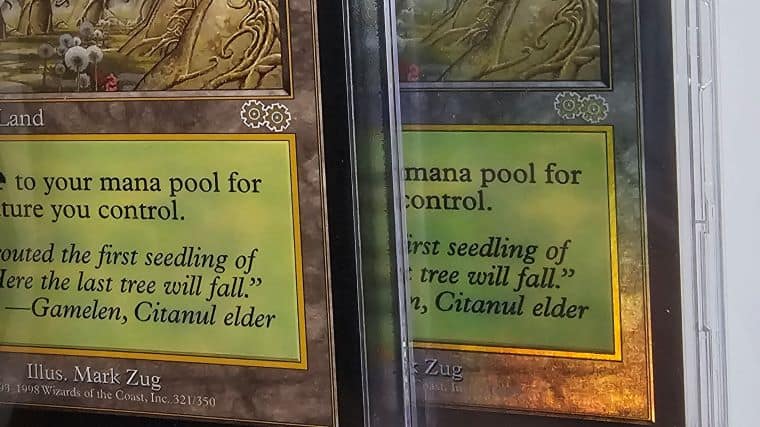 MTGコレクション】『ガイアの揺籃の地』という魅力的なカードをご紹介