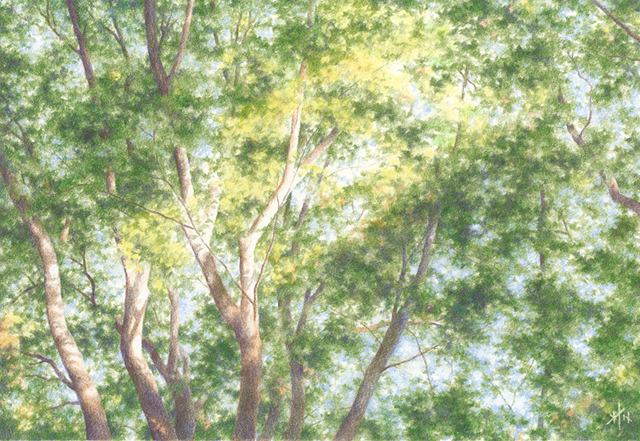 はじめての色鉛筆アート｜川崎小田栄カルチャーセンター