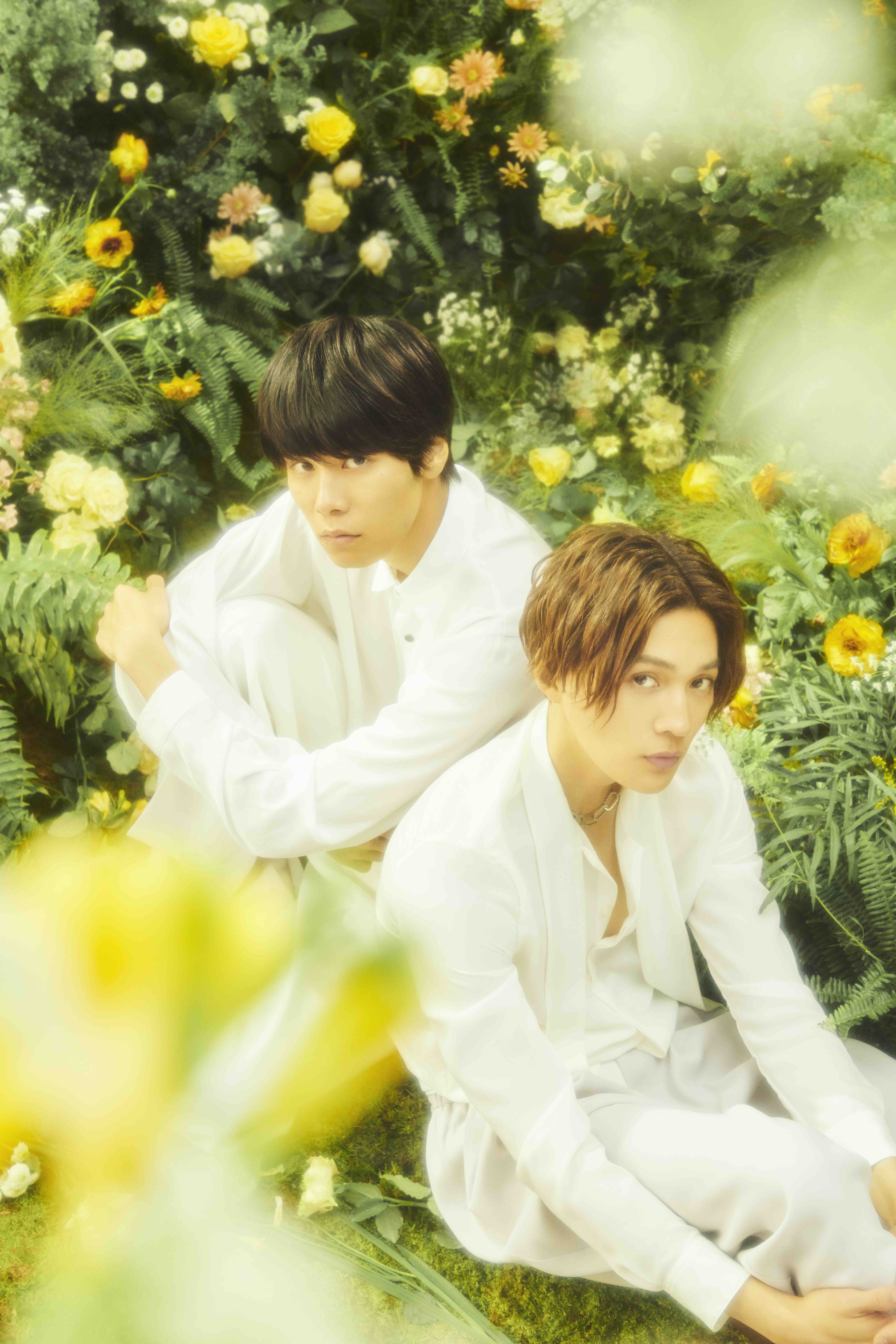 美しい彼｜シネマ・コンサート