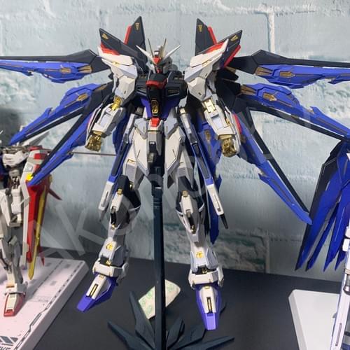 MGEXではない] MG 1/100 ストライクフリーダムガンダム 改造パーツ