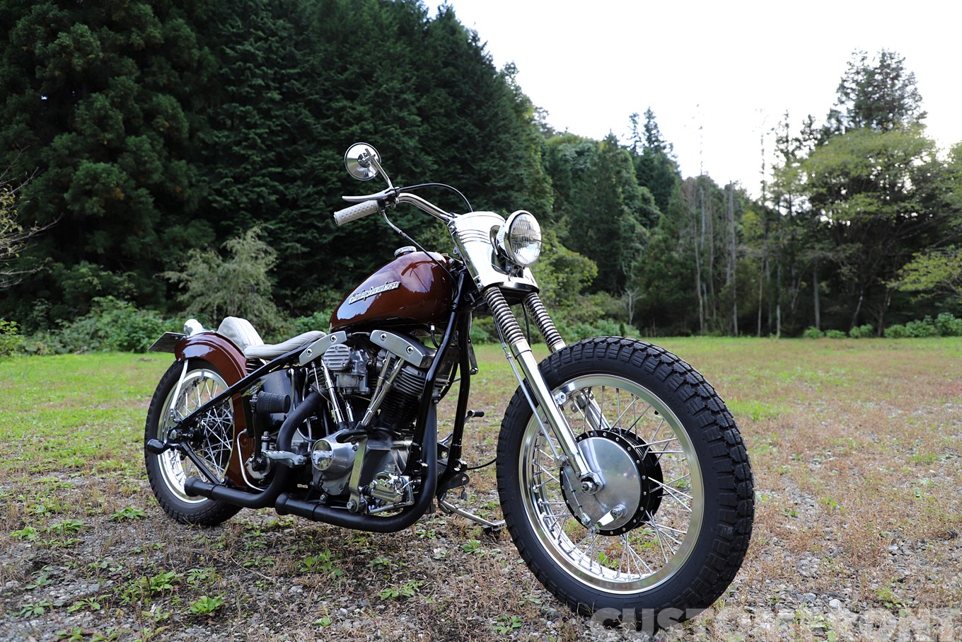 ハーレー ショベルチョッパー FLH 1982のボバーカスタム・モトリ