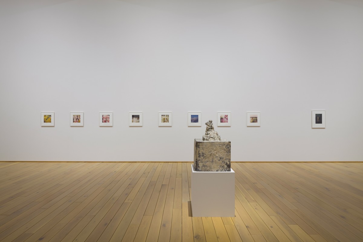 Cy Twombly Photographs: Lyrical Variations | Exhibitions | News