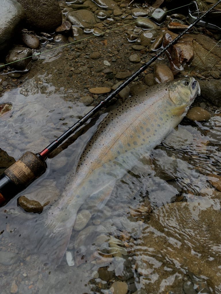 Blakiston】 ＃BKT-411SL4＆BKT-SL4BC D3福士知之 – D3カスタムルアーズ