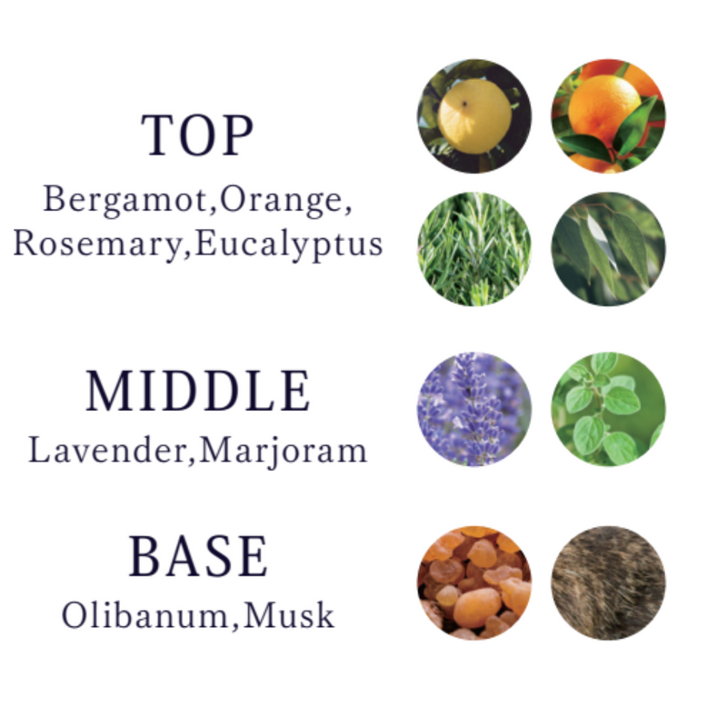 Evi プレミアムバウンステックシャンプー 1000ml – DD