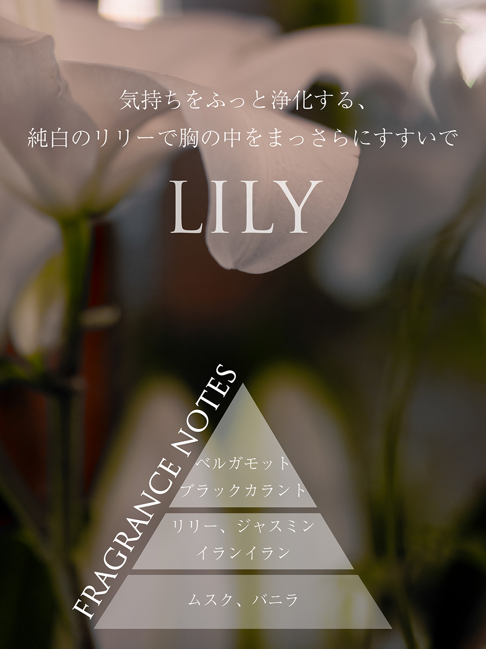 オードトワレ95mL リリー(オードトワレ)｜フレグランス│MUCHA