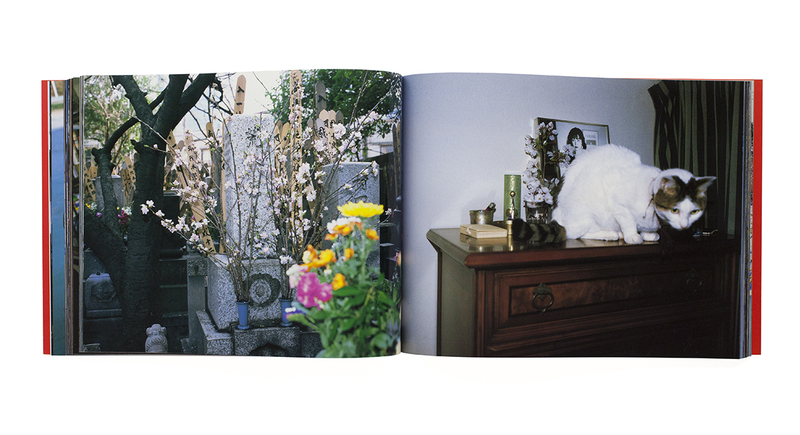 新世紀ノ写真 - 荒木経惟 | shashasha 写々者 - 写真集とアートブック