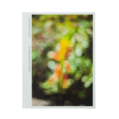 テリ・ワイフェンバック - Terri WEIFENBACH | shashasha 写々者