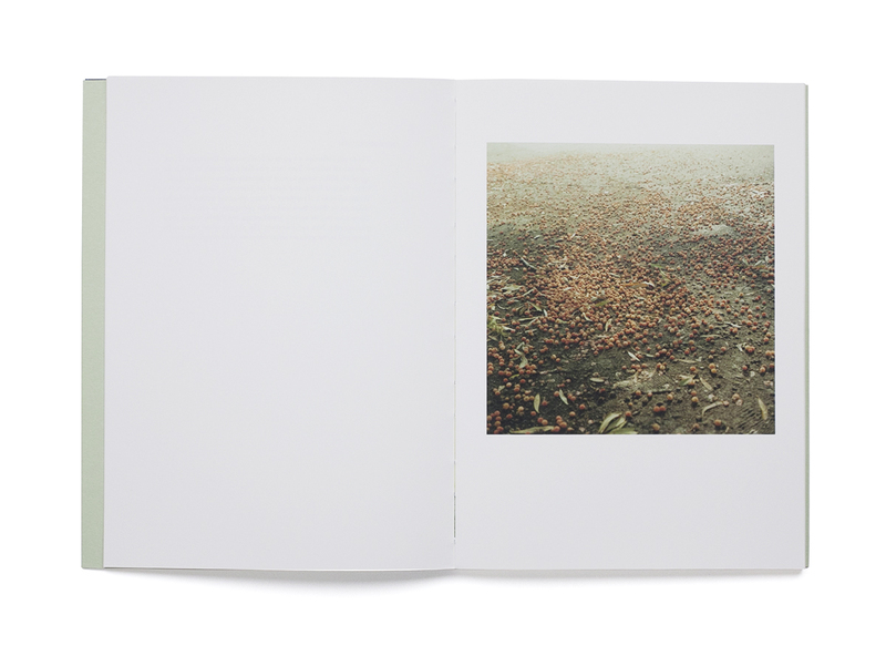 CHANGE - 原美樹子、Stephen DIXON | shashasha 写々者 - 写真集と