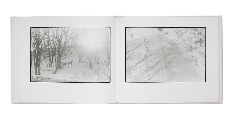 鹿渡り - 白石ちえこ | shashasha 写々者 - 写真集とアートブック