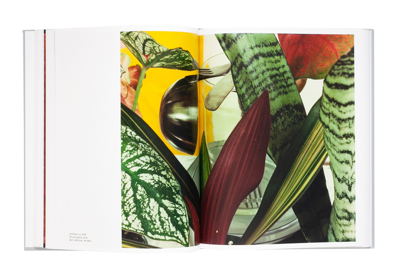 ヤン・グルーバー - Jan GROOVER | shashasha 写々者 - 写真集とアート