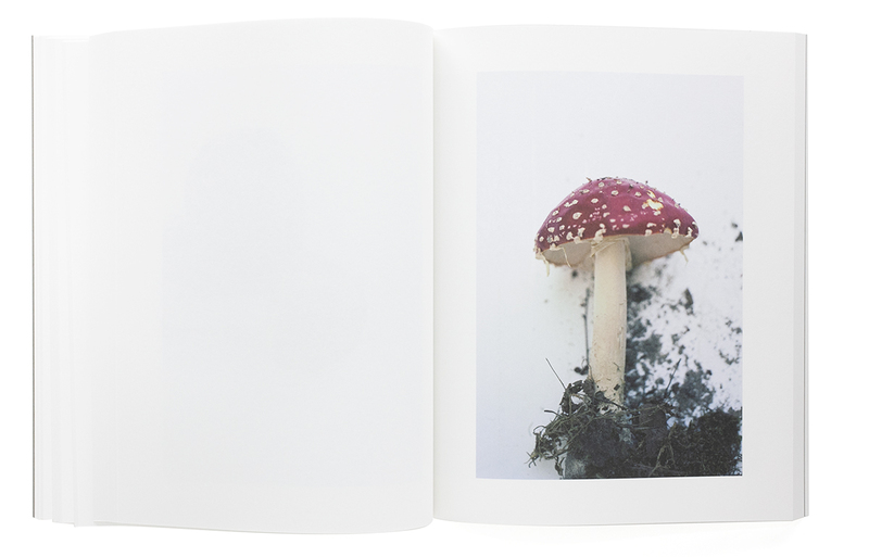 Symphony その森の子供 mushrooms from the forest (ソフトカバー