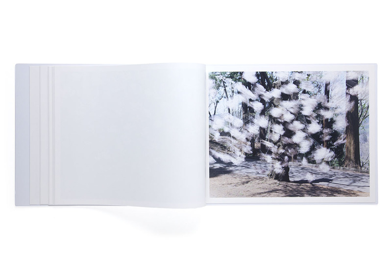 Sakura - 鈴木理策 | shashasha 写々者 - 写真集とアートブック