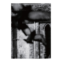 Photosynthesis - 田原桂一 | shashasha 写々者 - 写真集とアートブック