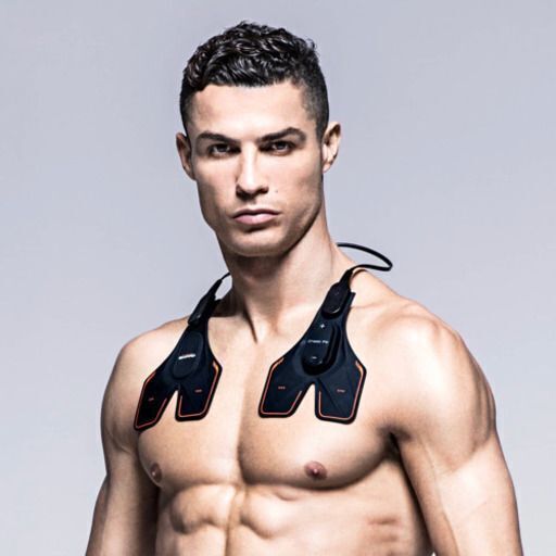 ① チェストフィット 正規品 シックスパッド SIXPAD : MTG シックス