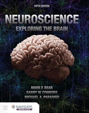 Neuroscience, 5th ed. - Exploring the Brain: 洋書／南江堂