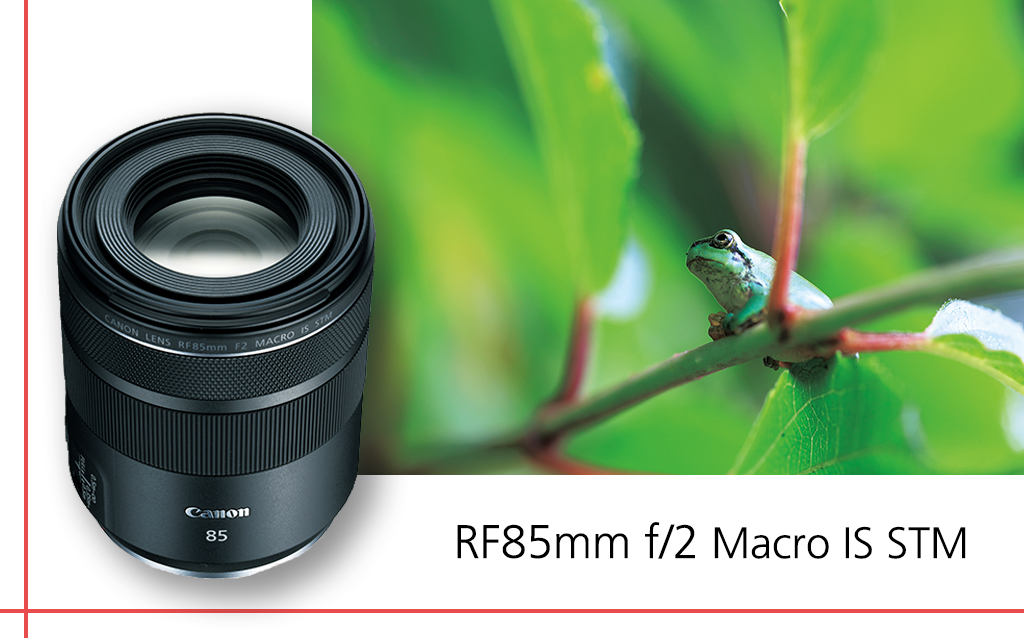 RF85mm f/2 Macro IS STM: A Closer Look at Nature