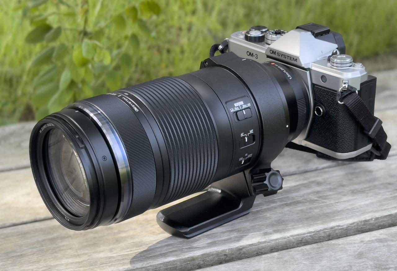OM SYSTEM M.ZUIKO DIGITAL ED 100-400mm F5.0-6.3 IS Ⅱはどんな