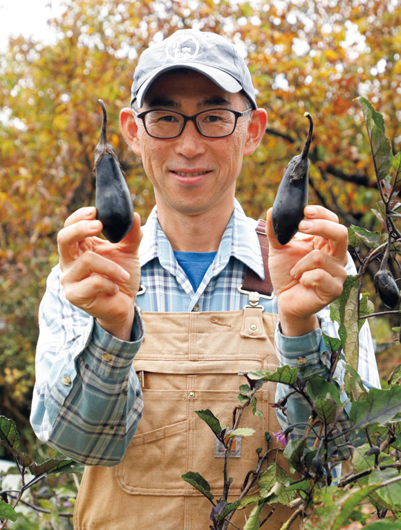 ナス栽培の「新常識」1株100個採りを叶えた“水ごけ植え”徹底レポート